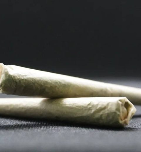 Maconha