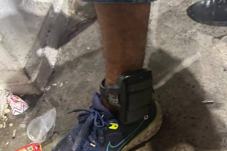 Homem com tornozeleira eletrônica é detido após roubar celular de um folião