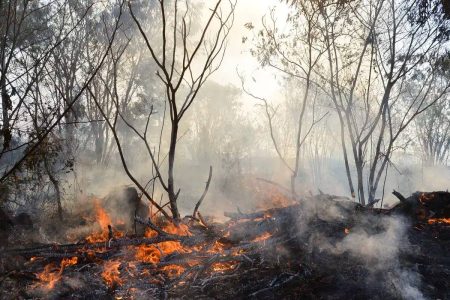 Emissões por queimadas no Brasil em fevereiro são as maiores em 21 anos, indica observatório europeu