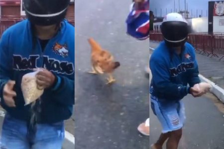 Vídeo: torcedores do Bahia jogam milho e galinha na frente do Barradão