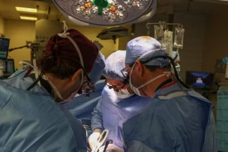 Primeiro transplante de rim de porco para humano é liderado por brasileiro nos EUA