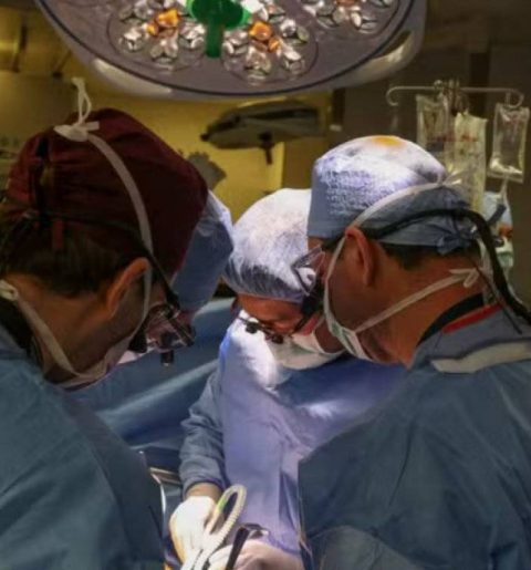 Foto: Reprodução/Massachussets General Hospital