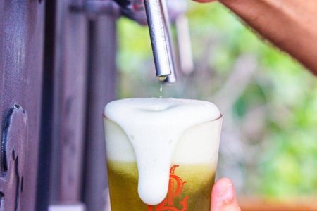 Festival em Salvador terá cerveja de cannabis