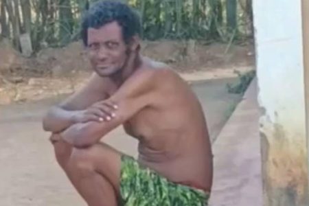 Homem morre após receber cerca de 100 picadas de abelha em Vitória da Conquista