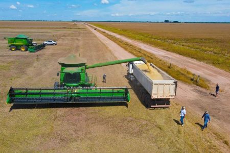 Colheita da Safra 2023/24 atinge 80% da área e se aproxima do final no oeste da Bahia