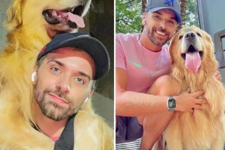 Cão morre por ser transportado para estado errado devido a falha da Gol