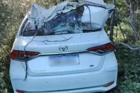 Motorista morre após atropelar vaca na BA-210