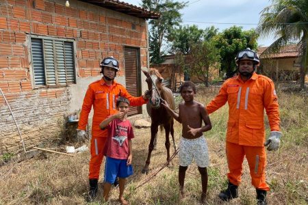 Bombeiros resgatam cavalo preso em fossa no povoado Conquista em Barreiras
