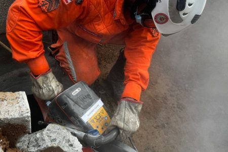 Bombeiros resgatam égua que caiu em bueiro após mais de 5h de atuação