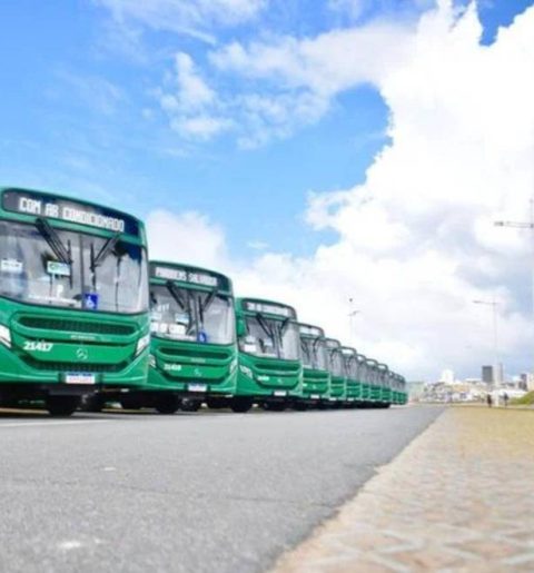 ônibus