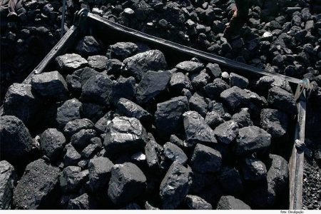 Homem é condenado por receber e armazenar carvão ilegal