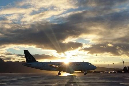 Comissão do governo vai definir regras para transporte aéreo de pets