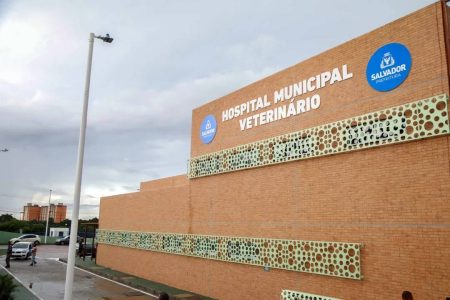 Secis abre novas vagas em Hospital Municipal Veterinário; confira