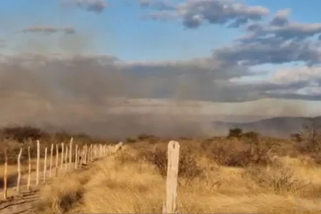 Incêndio florestal destrói vegetação entre Juazeiro e Sobradinho