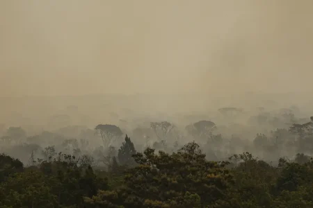 Brasil em chamas é culpa das Mudanças Climáticas?