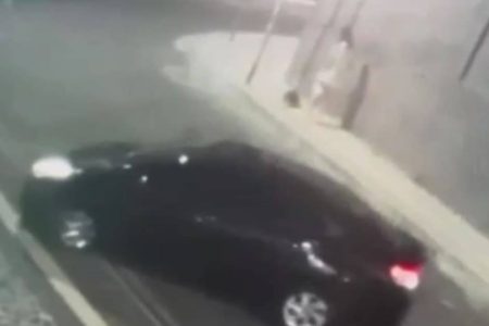 VÍDEO: Criminosos roubam cachorro na Graça e devolvem animal minutos depois