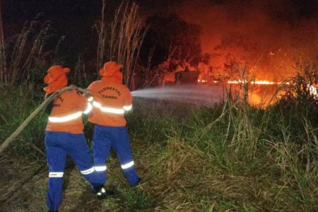 Brasil registrou 2,7 mil focos de incêndio nas últimas 24 horas