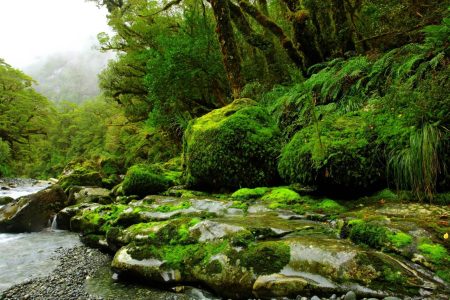 Zoneamento: Importante ferramenta de gestão ambiental