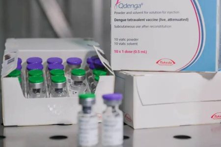 Fiocruz oficializa pedido para produzir vacina contra dengue no Brasil