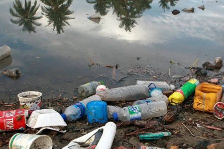 Brasil lança por ano 1,3 milhão de toneladas de plástico no oceano