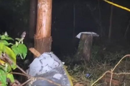 Avião de empresa baiana cai em SP; piloto de Guanambi e mais 4 morrem