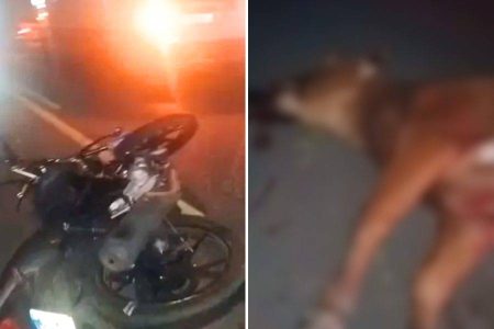 Jovem morre ao colidir moto em boi na BA-120
