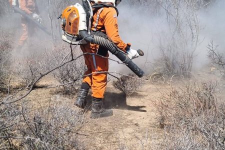 Aviões reforçam combate a incêndios no interior da Bahia Aviões reforçam combate a incêndios no interior da Bahia