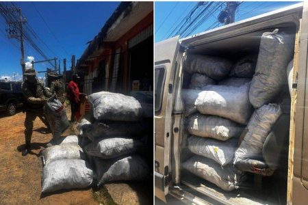 COPPA apreende três toneladas de carvão ilegal na Estrada do Côco