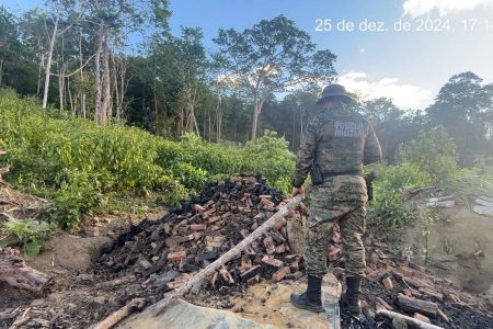 Líder de organização criminosa é preso e carvoaria ilegal é desmontada