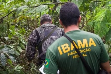 Ibama abre inscrições para concurso público com 460 vagas e salários de até R$ 9,9 mil