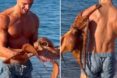 Inusitado: Modelo italiano é surpreendido por polvo na praia