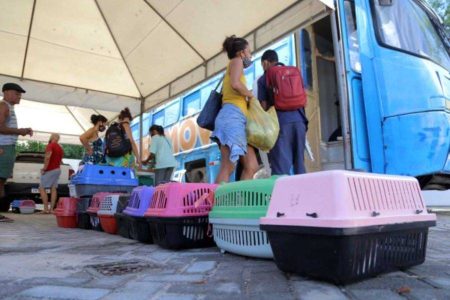 Castramóvel chega à Avenida Paralela para castração gratuita de cães e gatos