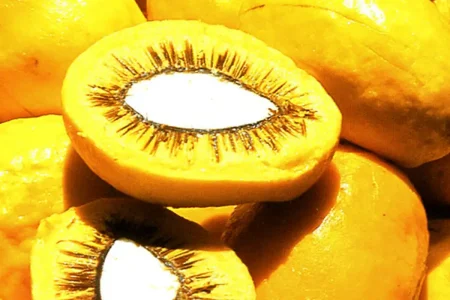 Lula sanciona projeto que estimula produção de frutos do Cerrado
