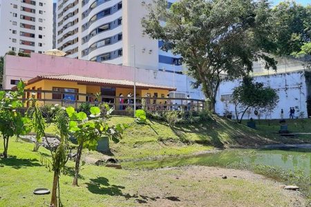 Projeto Curare retoma atendimentos psicológicos gratuitos em Salvador
