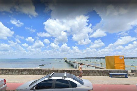 Vídeo mostra centenas de arraias mortas na Marina do Bonfim