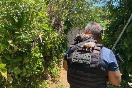 Polícia Civil apreende 10 kg de drogas em residência abandonada no bairro de Sussuarana