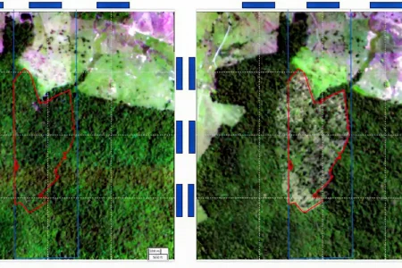 BNDES usa satélites para barrar R$728 milhões em empréstimos a desmatadores