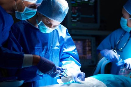 Brasil bate recorde histórico com 31 mil transplantes em 2025