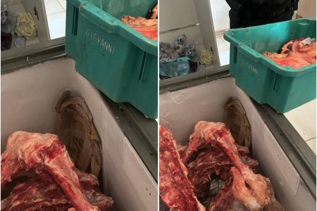 Mulher é presa por vender carne furtada em açougue clandestino na Região Metropolitana de Salvador