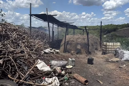 Fiscalização fecha carvoaria clandestina em Feira de Santana