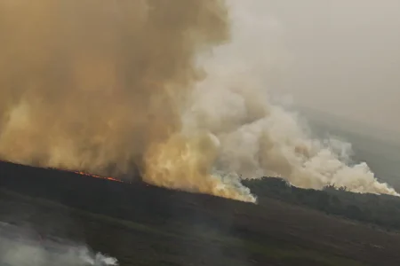 Dino homologa parcialmente plano anti-incêndios na Amazônia e Pantanal Dino homologa parcialmente plano anti-incêndios na Amazônia e Pantanal