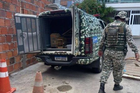 Animais silvestres são resgatados de cativeiro ilegal em Salvador