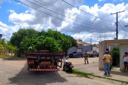 Criança sem capacete morre após colisão entre moto e caminhão em Eunápolis