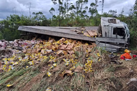 Câmera registra colisão entre caminhão e carros na BR-356