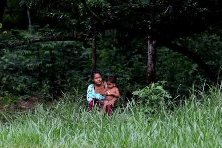 Preservação de biomas em terras indígenas é 31% maior, diz ISA