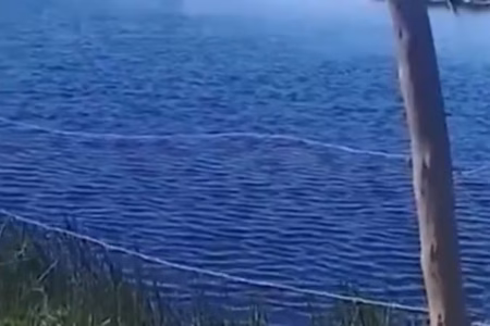 Dois homens morrem eletrocutados ao encostar em cerca com ligação elétrica irregular na Bahia