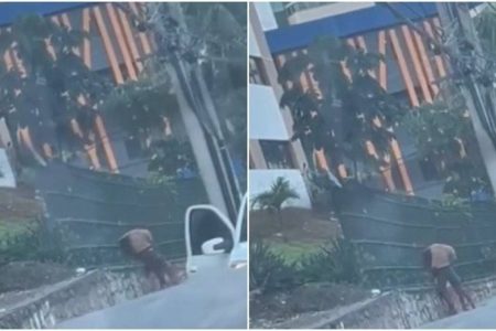 Vídeo: Mulher é agredida em tentativa de assalto na Avenida Garibaldi