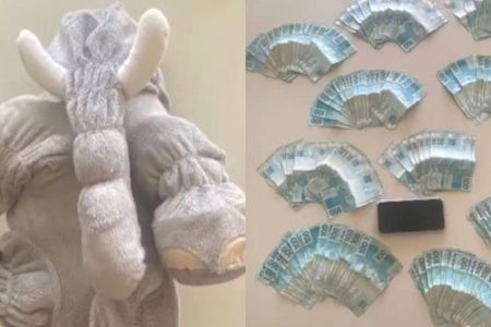 Mulher é detida com R$ 20 mil em pelúcia e comprova ganho em jogo online