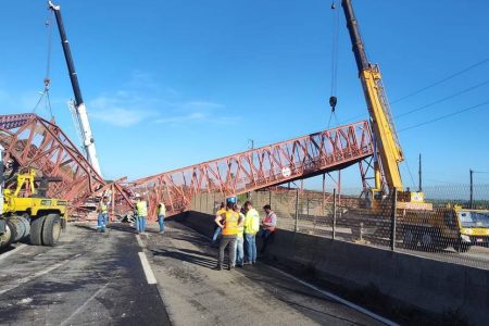 Nova passarela é instalada na BR-324, próxima a Amélia Rodrigues