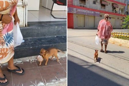 ‘Toquinho de Irecê’: Cachorro viraliza nas redes sociais por carregar a própria ração